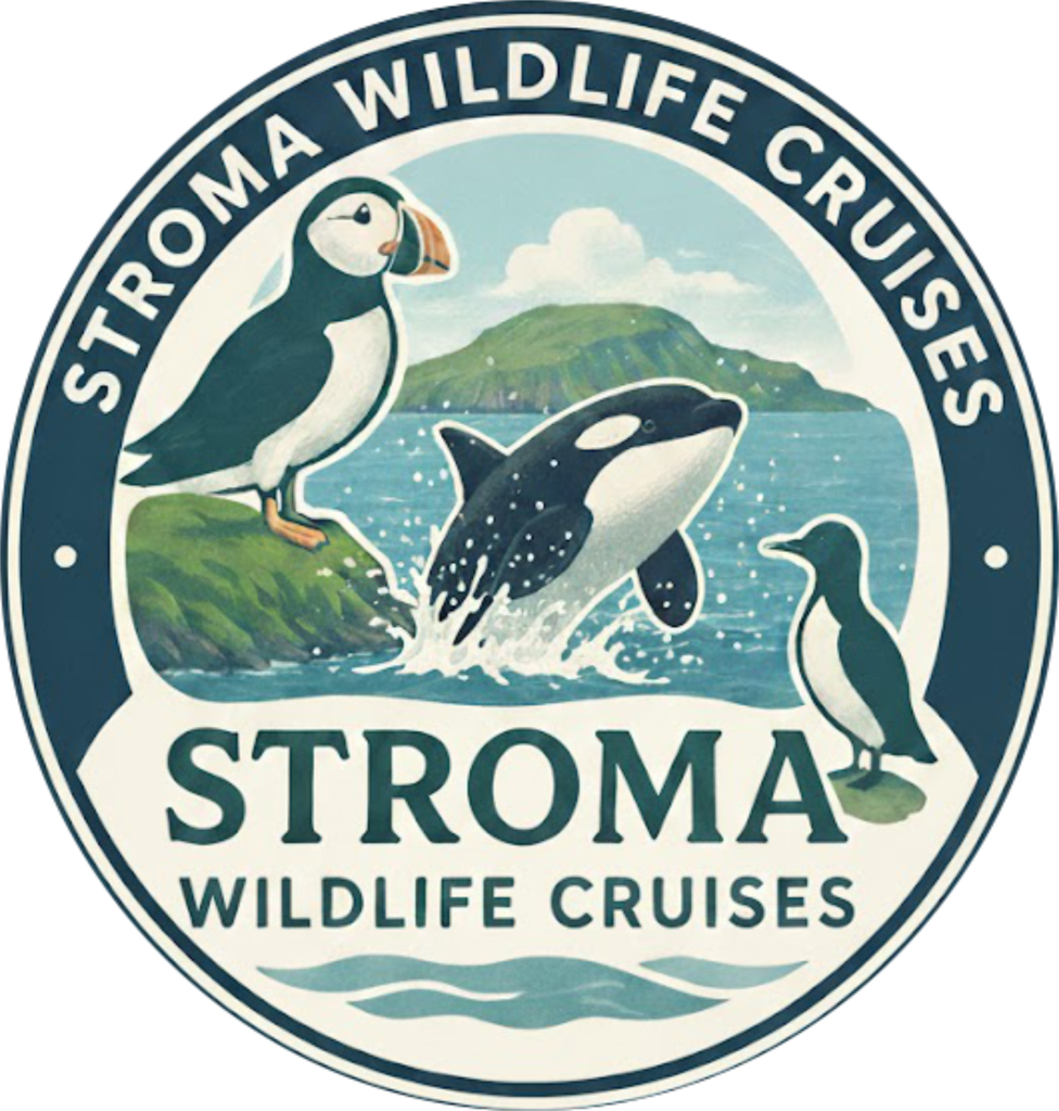 Stroma Wildlife Cruises Logo